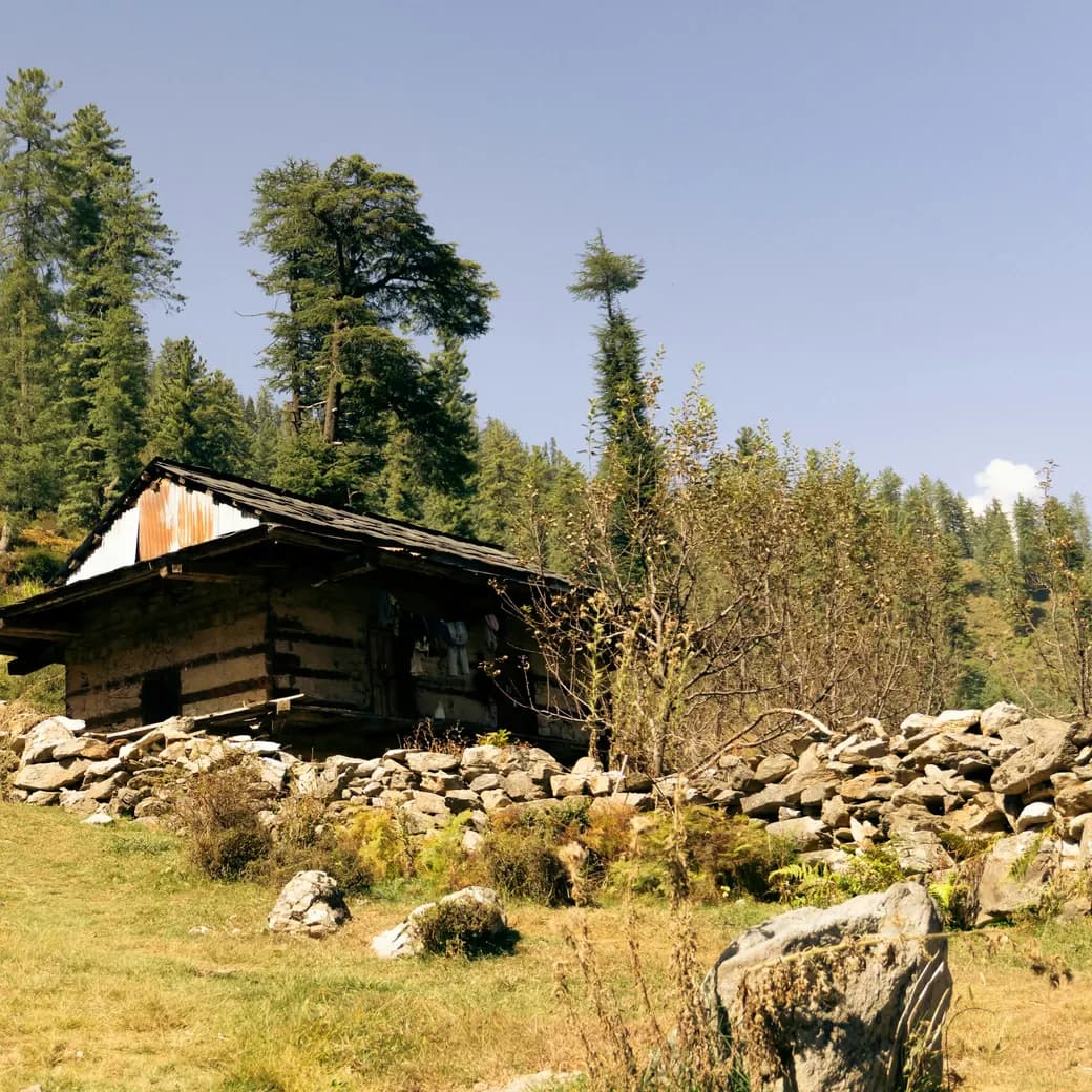A wooden cabin on a stony hillside among pine trees