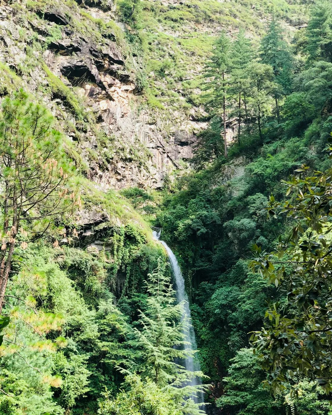 A waterfall in thick forest near Jibhi