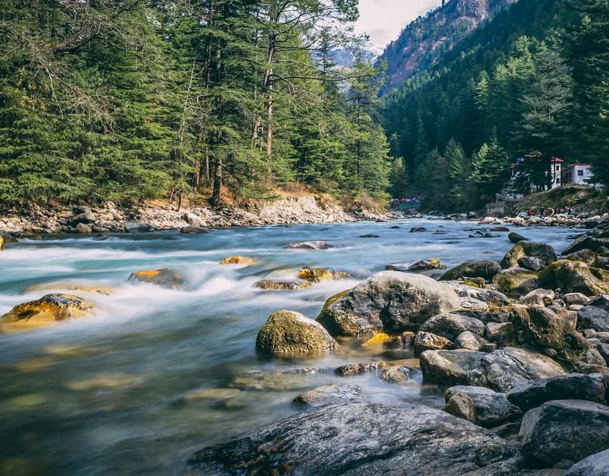 A river running over rocks through pine forest near Kasol